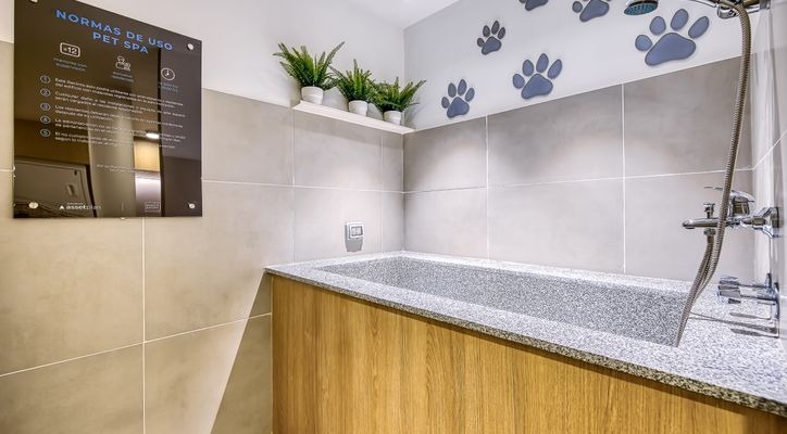 Departamento en Santiago - Miniatura 17