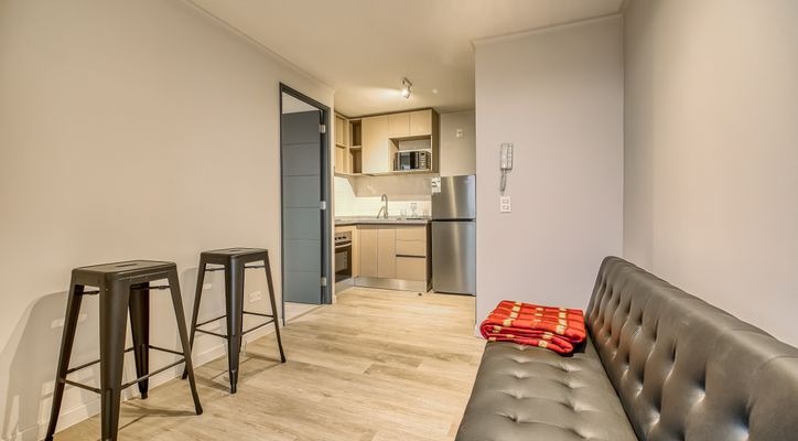 Departamento en San Joaquín - Miniatura 2