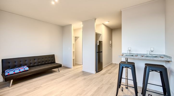 Departamento en San Joaquín - Miniatura 2