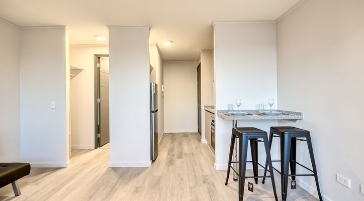 Departamento en San Joaquín