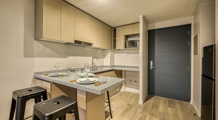 Departamento en San Joaquín - Miniatura 5